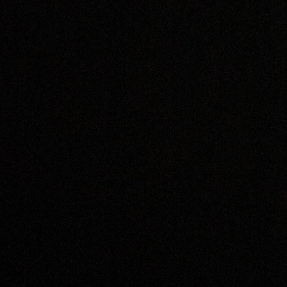 Meet your Posher, Abby - Picture 1 of 1